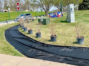 &ldquo;Spring means fresh and renew, so Veterans Park is joining North St. Paul to refresh the &ldquo;Historic&rdquo; Veterans Park grounds. A new hedge of 45 ARROWWOOD VIBURNUM shrubs is being planted by City Parks Crews to brighten up the Park. A haircut & trim followed on all the park plantings. Pine Creek Services then will stop by to soft power wash all paver, granite and walkway surfaces. New flags proudly wave on upgraded flagpole hardware in preparation of Memorial Day ceremonies Monday, May 25. Join us at noon that day to remember or Fallen and Deceased Veterans.&rdquo;