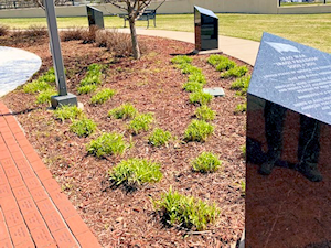 &ldquo;Spring means fresh and renew, so Veterans Park is joining North St. Paul to refresh the &ldquo;Historic&rdquo; Veterans Park grounds. A new hedge of 45 ARROWWOOD VIBURNUM shrubs is being planted by City Parks Crews to brighten up the Park. A haircut & trim followed on all the park plantings. Pine Creek Services then will stop by to soft power wash all paver, granite and walkway surfaces. New flags proudly wave on upgraded flagpole hardware in preparation of Memorial Day ceremonies Monday, May 25. Join us at noon that day to remember or Fallen and Deceased Veterans.&rdquo;