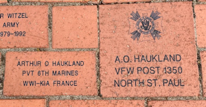 “Veterans Park is undergoing a shrubbery replacement plan in 2025-2026. The original Ninebark shrubs were getting weather worn and bare in places. An agreement between the Veterans Park Committee and the North St. Paul Public Parks will replace the present Ninebark border hedge with new plantings of Arrowood Viburnum for added color and durability in Spring 2026. Stay tuned”.The Snowman approves.